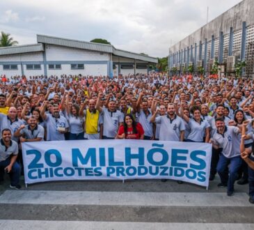 Stellantis celebra marco de 20 milhões de chicotes automotivos