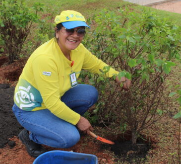 Mês de Meio Ambiente na Dunlop