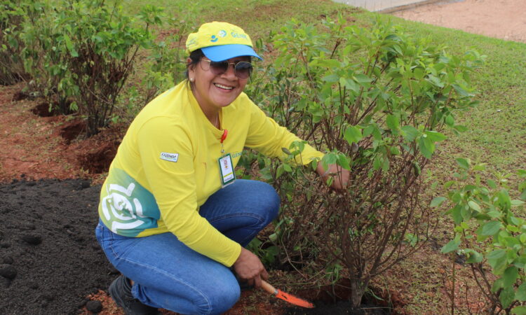 Mês de Meio Ambiente na Dunlop