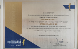 COFAP É OURO PELA 11ª VEZ NA PREMIAÇÃO "MELHORES DO ANO" SINDIREPA