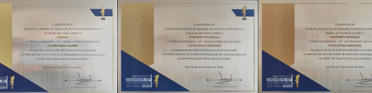 COFAP É OURO PELA 11ª VEZ NA PREMIAÇÃO "MELHORES DO ANO" SINDIREPA