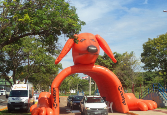 COFAP DIVULGA AGENDA DOS EVENTOS SHOCKTESTER DE JULHO