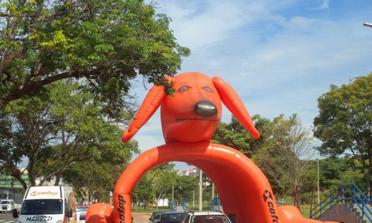 COFAP DIVULGA AGENDA DOS EVENTOS SHOCKTESTER DE JULHO